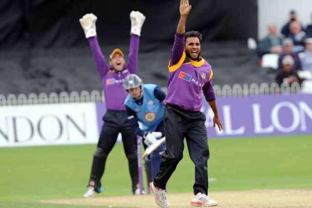 Adil Rashid celebrates taking the wicket of Tony Paladino.