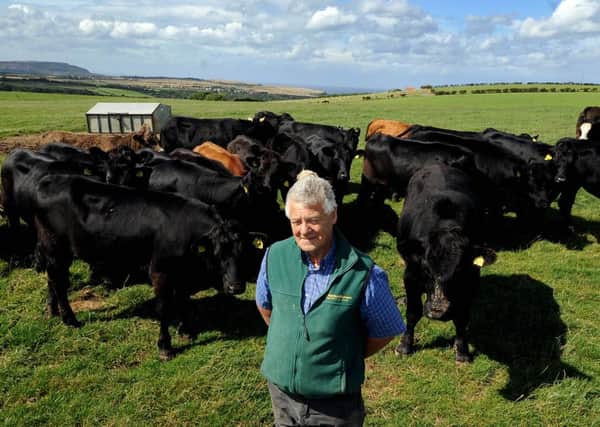 Ron Stainthorpe, of Barnby Tofts Farm, with his herd of Aberdeen Angus cattle.