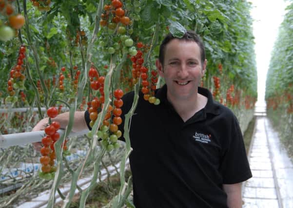 Nigel Bartle who has been growing tomatoes for decades.
