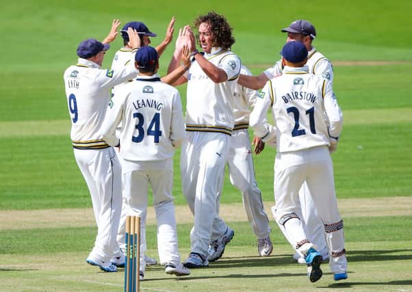 Yorkshire's Ryan Sidebottom is congratulated on the wicket of Sussex's Luke Wells.