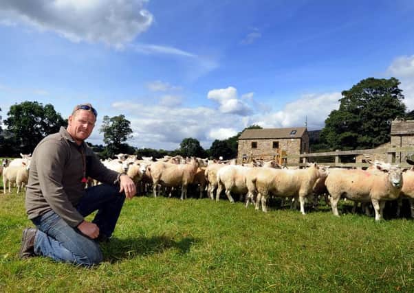 Paul Brown, chairman of Reeth Show, with his Texdale breed.