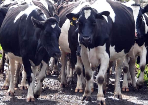 Dairy farmers are seeing farmgate milk prices slip.