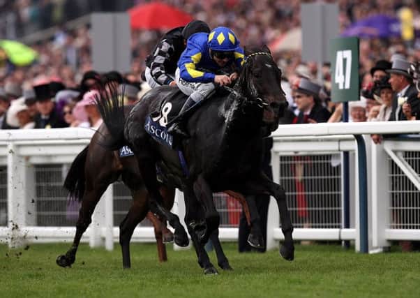 ROLLING BACK THE YEARS: Robert Cowells nine-year-old charge Kingsgate Native, seen above winning the Golden Jubilee Stakes at Royal Ascot in 2008, is a leading contender in todays renewal of the Betfred Beverley Bullet.