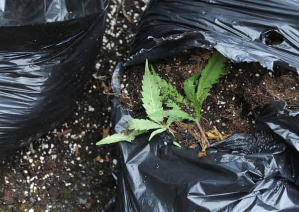 The remains of a cannabis factory dumped in Leeds last month