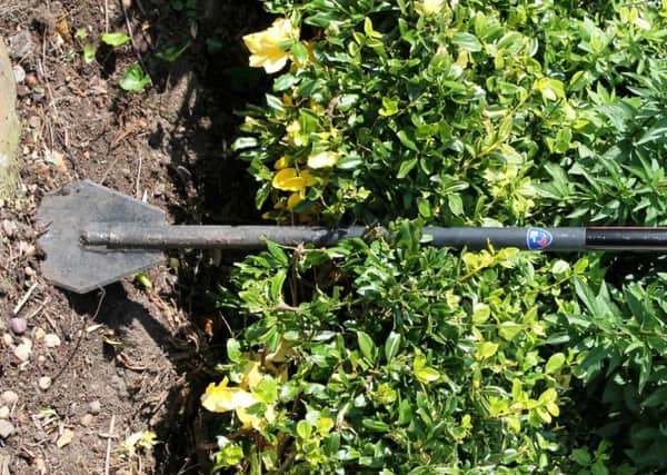 The Slammer multi-purpose tool isnt fazed by thick plants roots or even concrete.