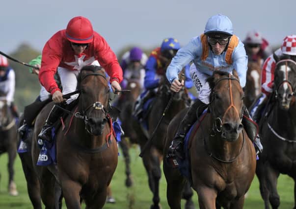 COMING THROUGH: G Force ridden by Daniel Tudhope (centre in blue) wins the Betfred Sprint Cup.