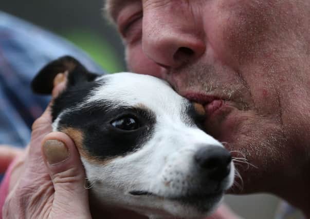 Misty the Jack Russell is fussed over outside Manchester Dogs' Home