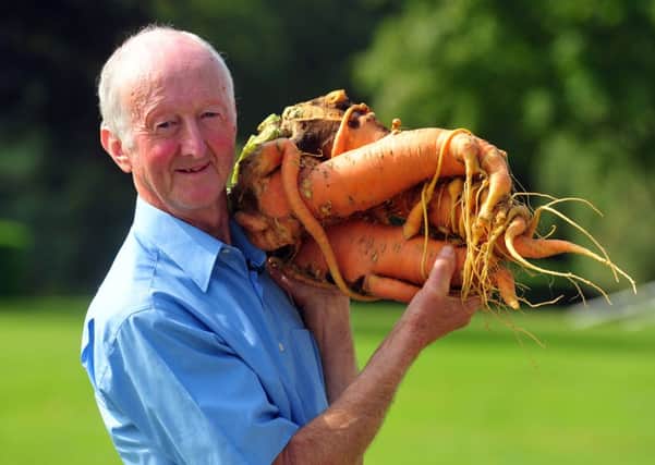 Peter Glazebrook with his 20lbs world record breaking carrot at the Harrogate Autumn Flower Show. Picture by Tony Johnson