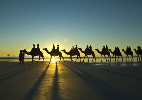Camel rides along the coast in Broome, Western Australia.