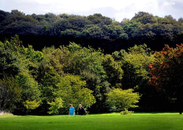 A couple of dog walkers enjoying the weather in Golden Acre Park, Leeds, as the change of season starts to take place, with trees taking on their autumnal colour.

Picture James Hardisty
