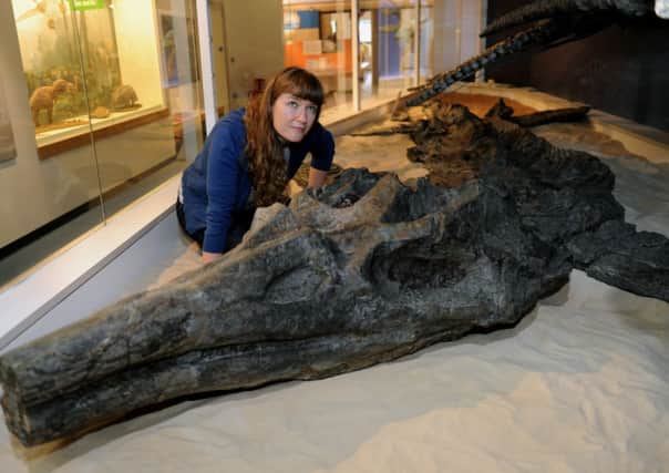 Sarah King, curator of  Natural Sciences at the Yorkshire Museum in York, with the giant  fossil of an Ichtysaur