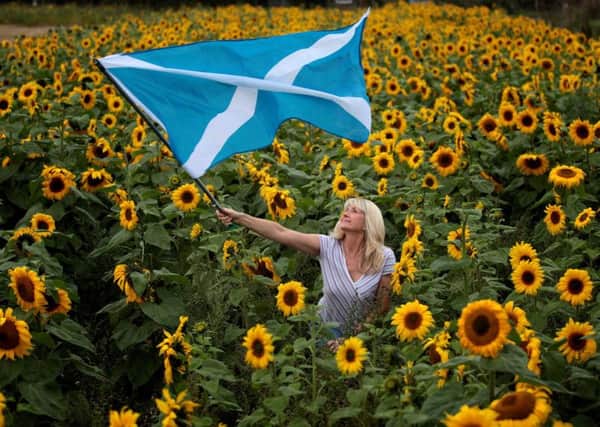 Yes Scotland supporter Lynda Cockles from East Lothian waves a Saltire in a field of sunflowers