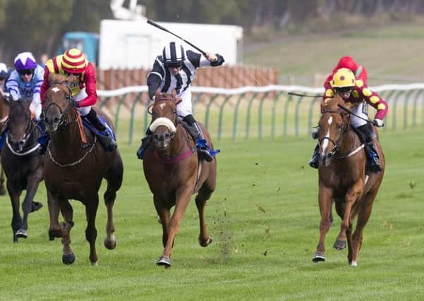 on the way up: Jack Garritty comes home third on Spirit of Zeb, far right, in yesterdays SM signs Maiden Auction Stakes on day one of the 2014 Gold Cup Festival at Ayr, coming in behind Get Knotted ridden by Phillip Makin, centre.
