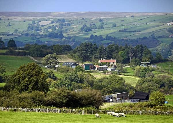 The North York Moors stands to benefit from development funds.  Pic: Eric Houlder of Carleton.