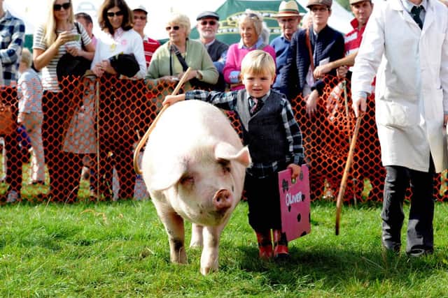 Jane Foster, of Newfield Grange, Calton near Malham, and other visitors to the Nidderdale Show