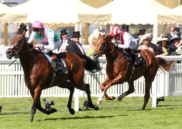 Kingman, left, ridden by James Doyle, goes on to win the St James's Palace Stakes ahead of Night Of Thunder earlier this year at Royal Ascot.