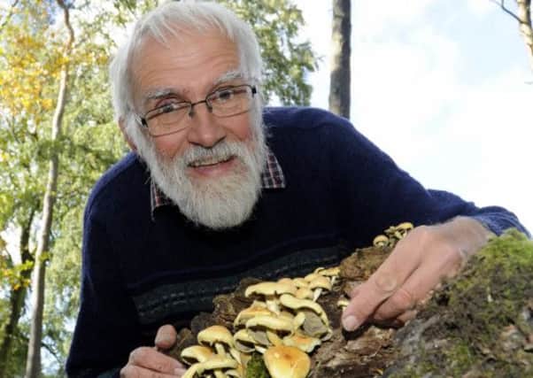 Mushroom foraging expert Patrick Harding.