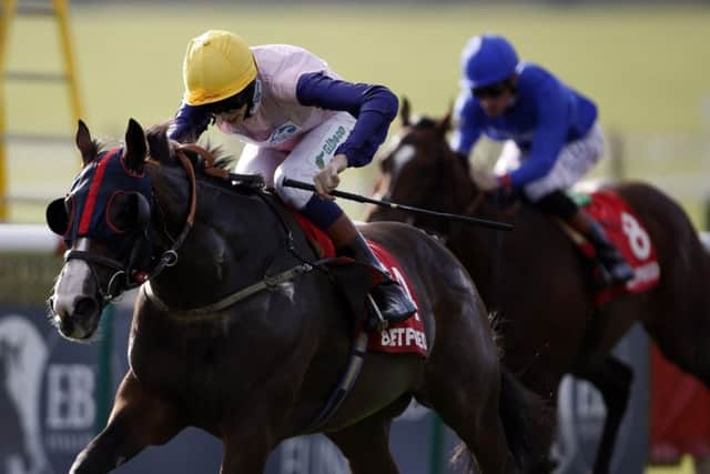 Bronze Angel (yellow cap) ridden by Louis Steward wins the Betfred Cambridgeshire (Heritage Handicap)