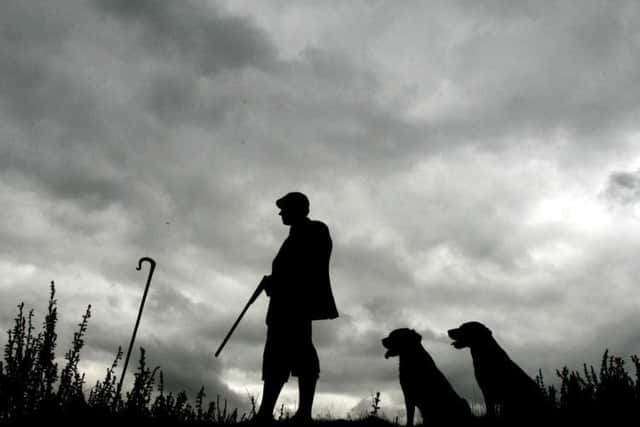 A head gamekeeper with his dogs during grouse season