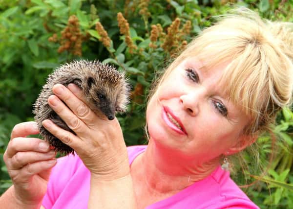 Annette Pyrah of Selby Wildlife Rescue.