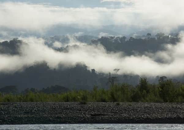 Mist over the River Ene in the Peruvian Amazon.



 
Photo by Mike Goldwater