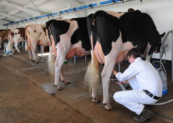 Crucial industry talks are due to be held at dairy summit in Skipton.  Pic: Anna Gowthorpe/PA Wire