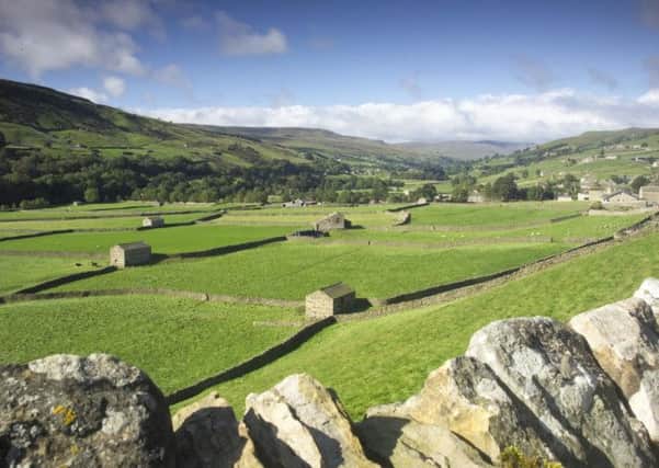 People living in rural areas, like Swaledale, pictured, are particularly vulnerable to bus cuts
