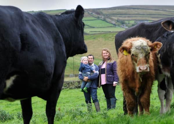 Stephen and Tracey Pepper with son Thomas, amongst their cattle at Windle House Farm.