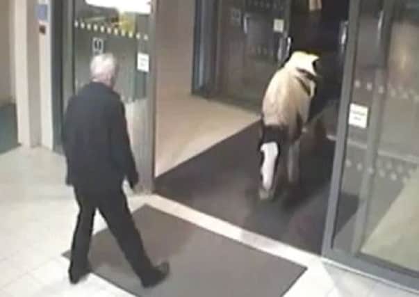 A horse walked into a police HQ