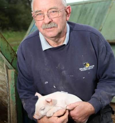 Picture shows farmer Mick Gilbank 67 at Low Moor Farm in North Yorkshire. A pig farming firm that sued a hot air balloon company claiming one of their flights caused a fatal stampede among their animals used a maths whizz to win a £40,000 payout.See copy RPYPIG. rossparry.co.uk / Steven Schofield