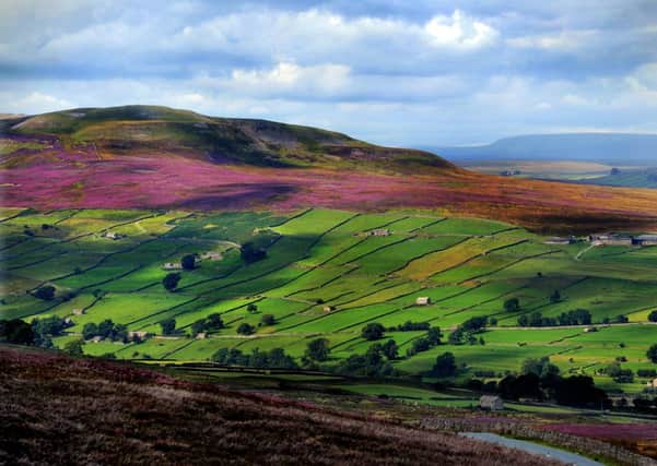 The natural beauty of the Dales was highly rated in the survey.