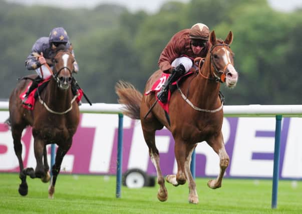 Top Notch Tonto ridden by Dale Swift (right) wins the betfred.com Superior Mile during the Betfred Sprint Cup Festival at Haydock Park Racecourse, Newton-le-Willows.