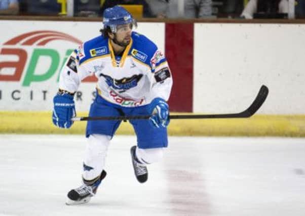 HOME START: Hull Stingrays' player coach Omar Pacha. Picture: Arthur Foster.