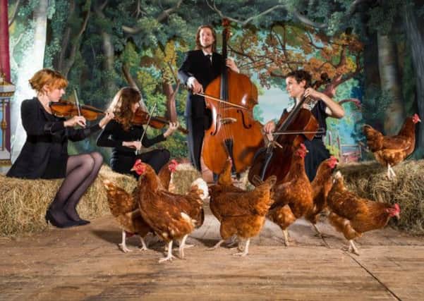 The happy egg company has launched the first album for hens.