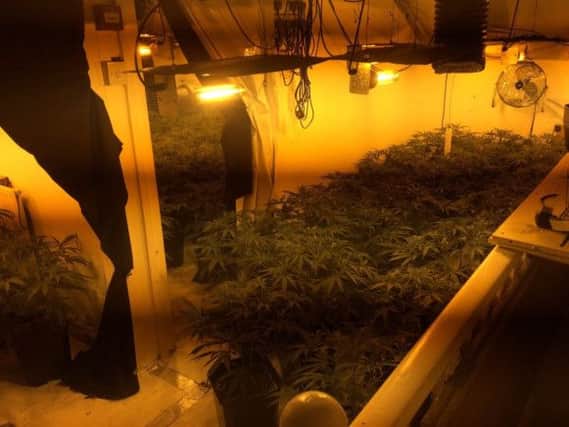 Cannabis farm found on Delph Lane, Woodhouse