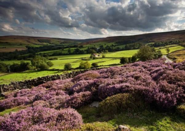 The North York Moors National Park. Picture: Mike Kipling