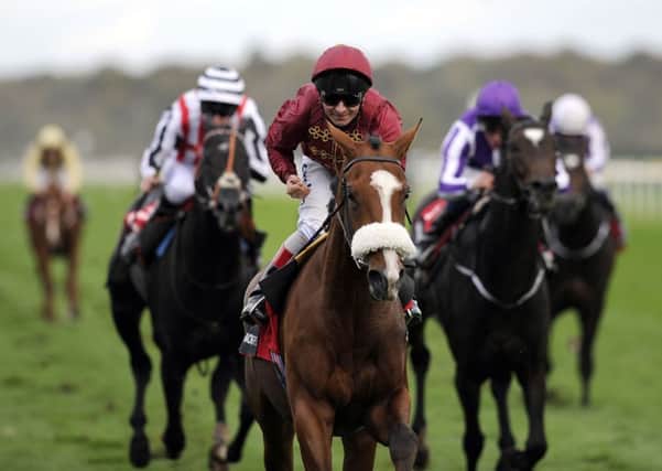 EASY DOES IT: Elm Park ridden by Andrea Atzeni wins the Racing Post Trophy. Picture: John Giles/PA.
