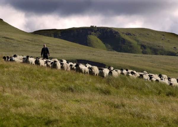 Dog owners are being warned to be careful around pregnant sheep and cattle.