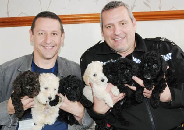 Det Inspector Paul Dickinson (left) and Sergeant Stuart Rowse with seven puppies which were stolen and have now been returned to their owners.