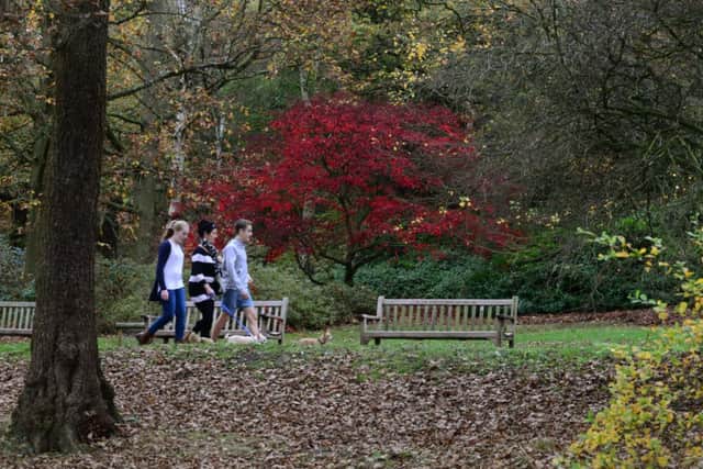 Unseasonally warm October weather at Bolton Abbey, Brighton and Leeds