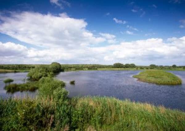 The RSPB's Old Moor nature reserve in the Dearne Valley, South Yorkshire.  Pic: RSPB