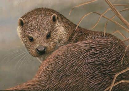 One of Roberts paintings of an otter.