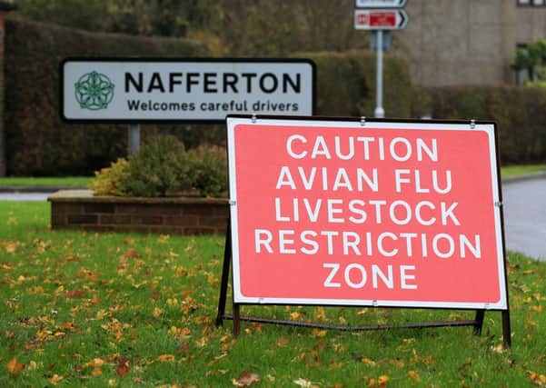 Signs in the village as preparations begin for a cull of ducks at a farm in Nafferton, East Yorkshire operated by Cherry Valley after a bird flu outbreak.  PRESS ASSOCIATION Photo. Picture date: Tuesday November 18, 2014. Government vets are investigating if the case of "highly pathogenic" H5 avian flu, found on the farm near Driffield is linked to a similar case in the Netherlands. See PA story ENVIRONMENT Flu. Photo credit should read: Lynne Cameron/PA Wire