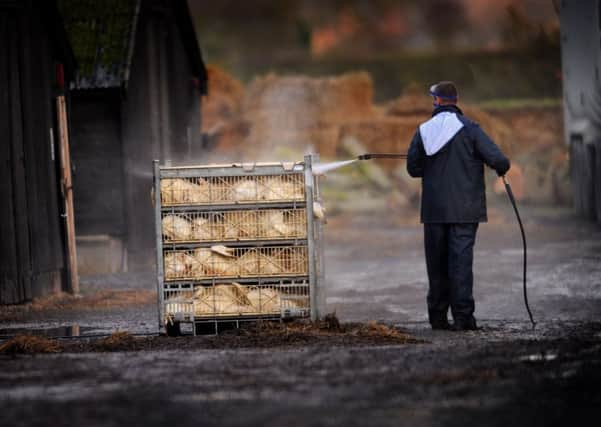A cull of ducks has been completed on the farm at the centre of the bird flu outbreak in East Yorkshire.