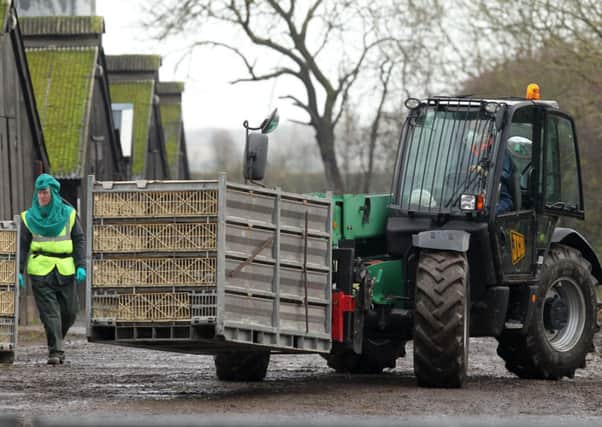Defra has issued new guidelines to limit spread of avian flu