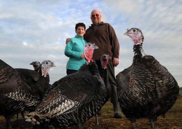 Tim and Lynne Lindley with turkeys at Hostingley Farm, Thornhill, Dewsbury.