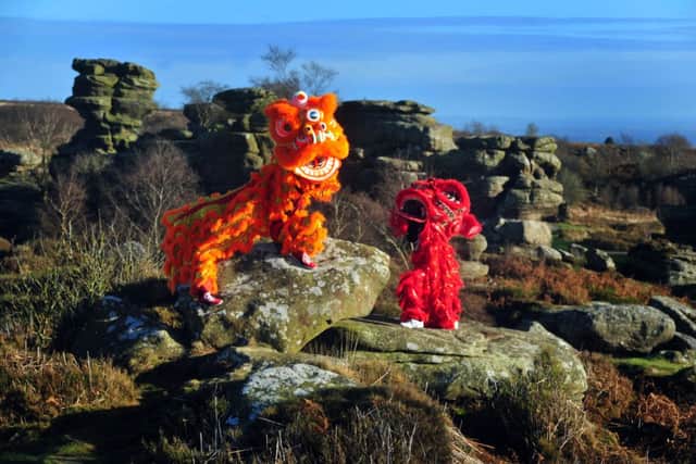 Chinese Dragons by the Druids Writing Desk at Brimham Rocks.