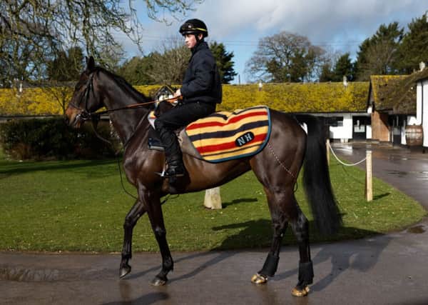 Sprinter Sacre in trainer Nicky Henderson's yard. Picture: John Walton/PA.