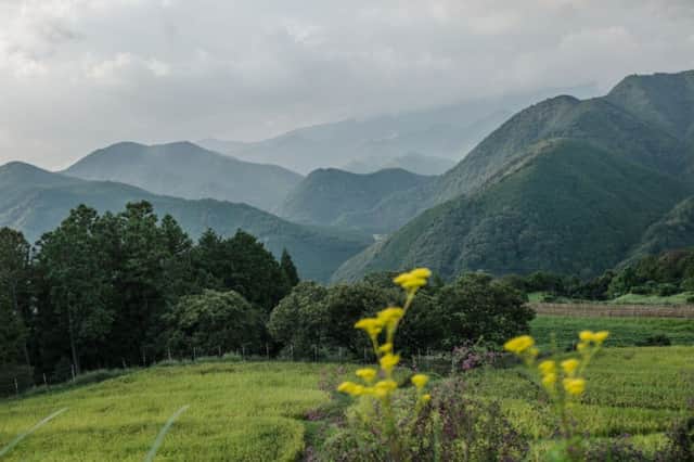 The breathtaking view from Takahara, looking out onto the Kii mountains, rice paddies and mustard flowers.