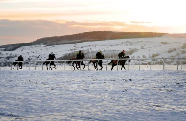 The first significant snowfall of the winter provides a vivid backdrop as these racehorses brave the cold on Middlehams gallops at daybreak. Picture: John Giles/PA.